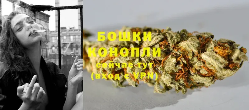 Каннабис White Widow  Нахабино 